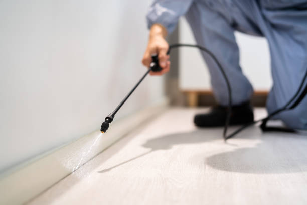 Licensed Cockroach Control service in McLean, VA - Nex Pest Control