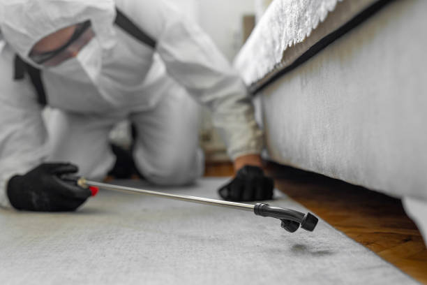 Professional Cockroach Control technician working in McLean, VA