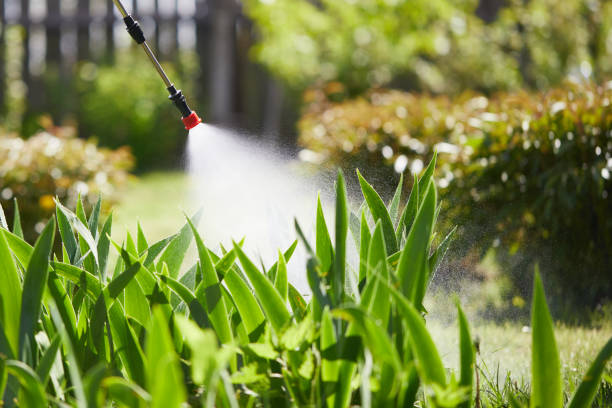 24/7 Emergency Cockroach Control experts in McLean, VA